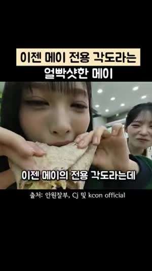 진격의 거인 이 생각나는 귀여운 메이의 얼빡샷(리센느)