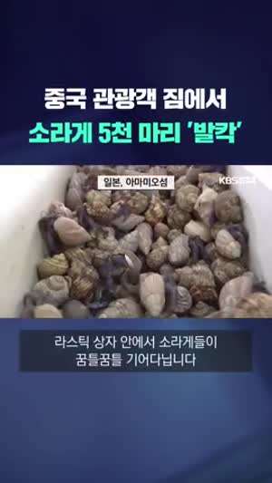 중국인들의 쓰레기 짓은 끝이 없다