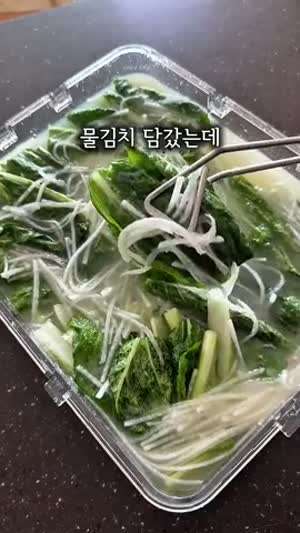 얼갈이로 온 가족이 맛있게 물김치 소고기국밥