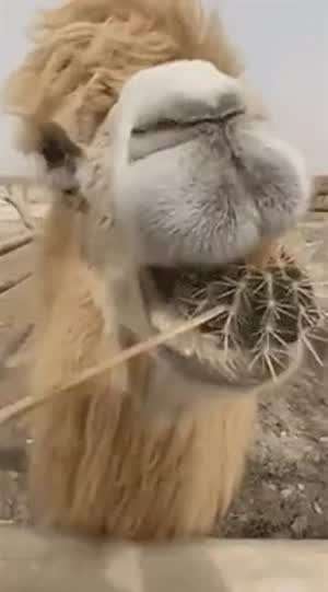 아 맛있어!!