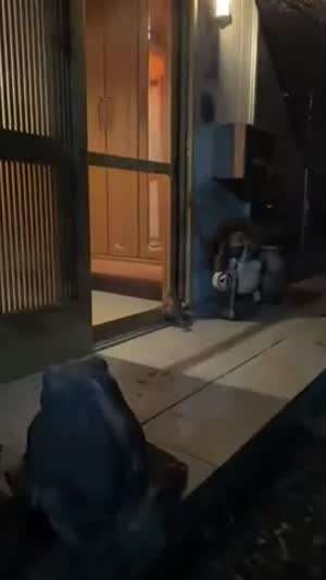 힘들게 열었는데....