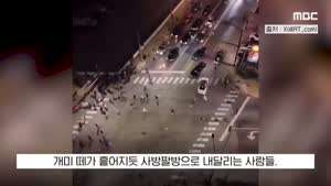 미국 LA에서 집단 약탈꾼들 검거하는 영상