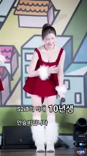 10년생 에스투잇 승비