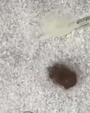 얼렁 숨자
