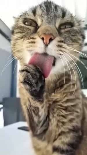 슬로우 모션